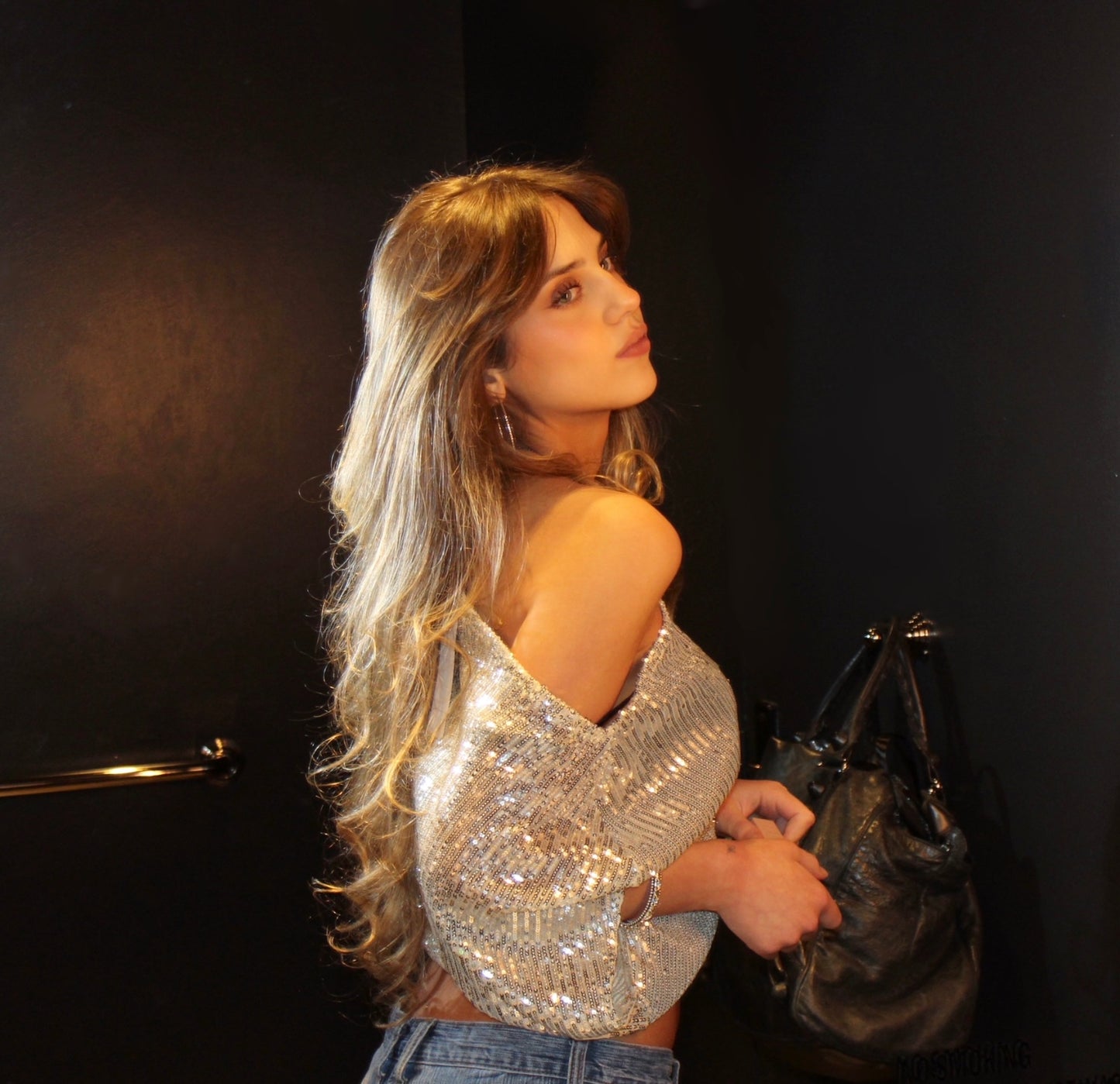 the SILVER SLEIGH top
