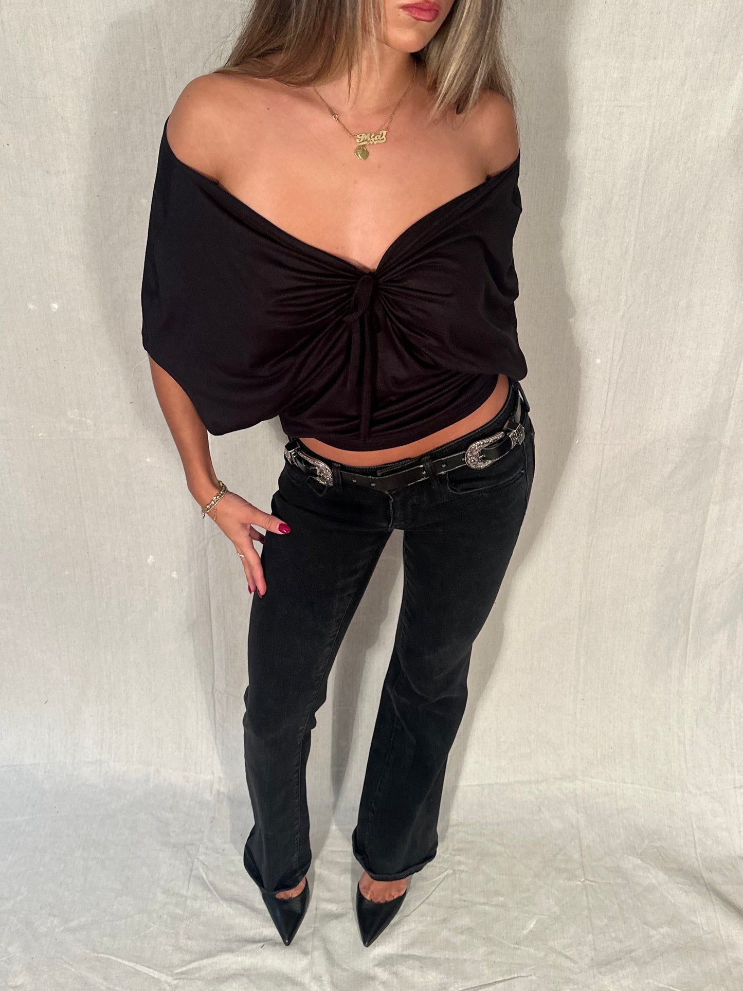 the LUNA top