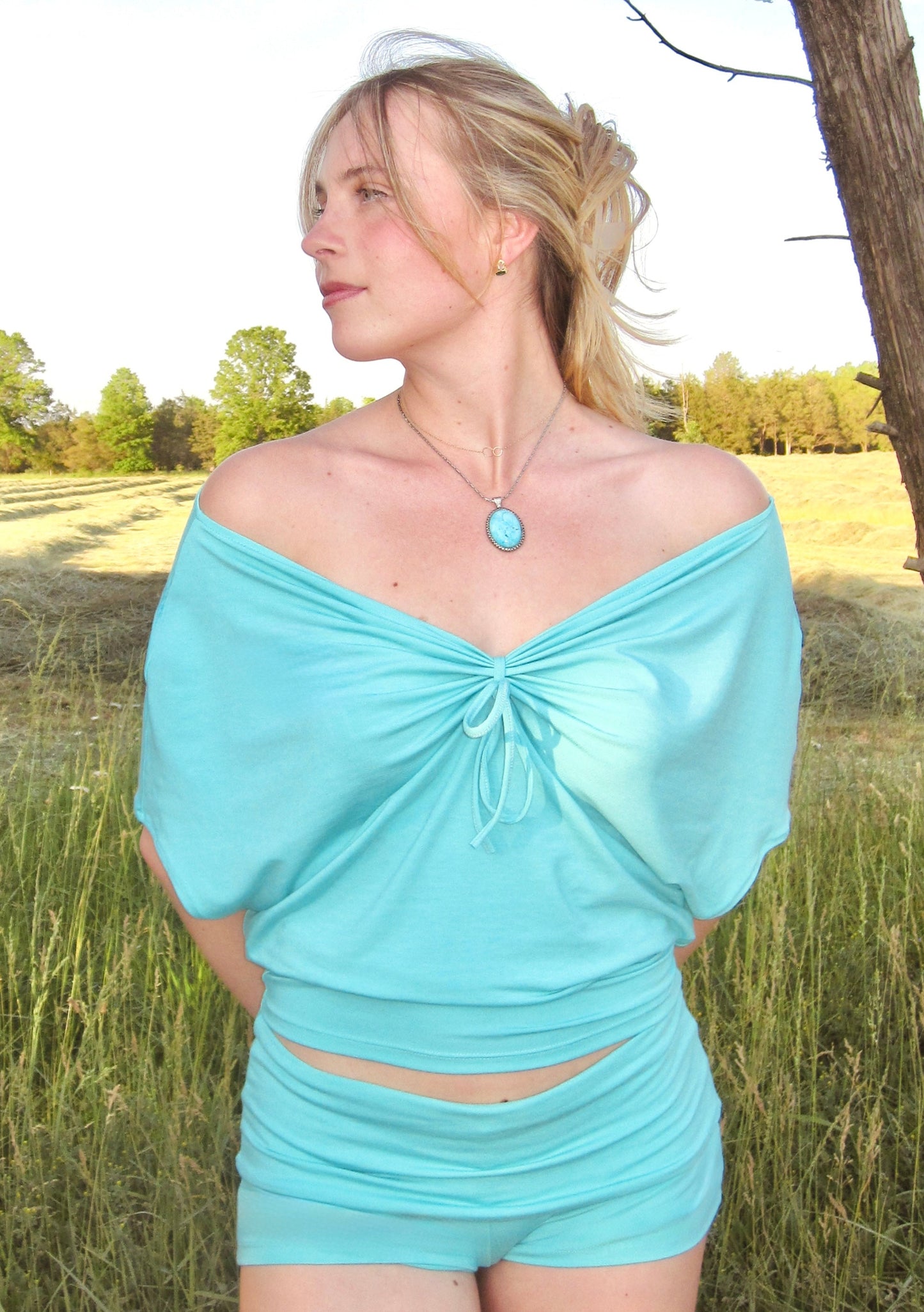 the COVE top